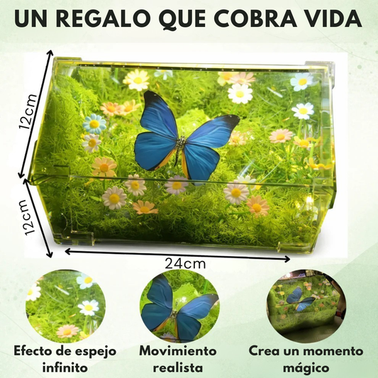 Caja Mariposa